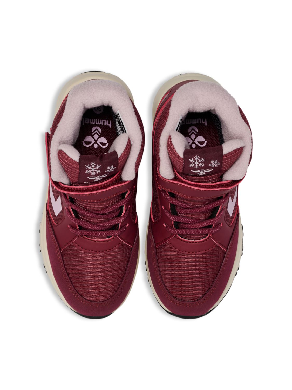 EXPLORER TEX, CHOCOLATE TRUFFLE, packshot