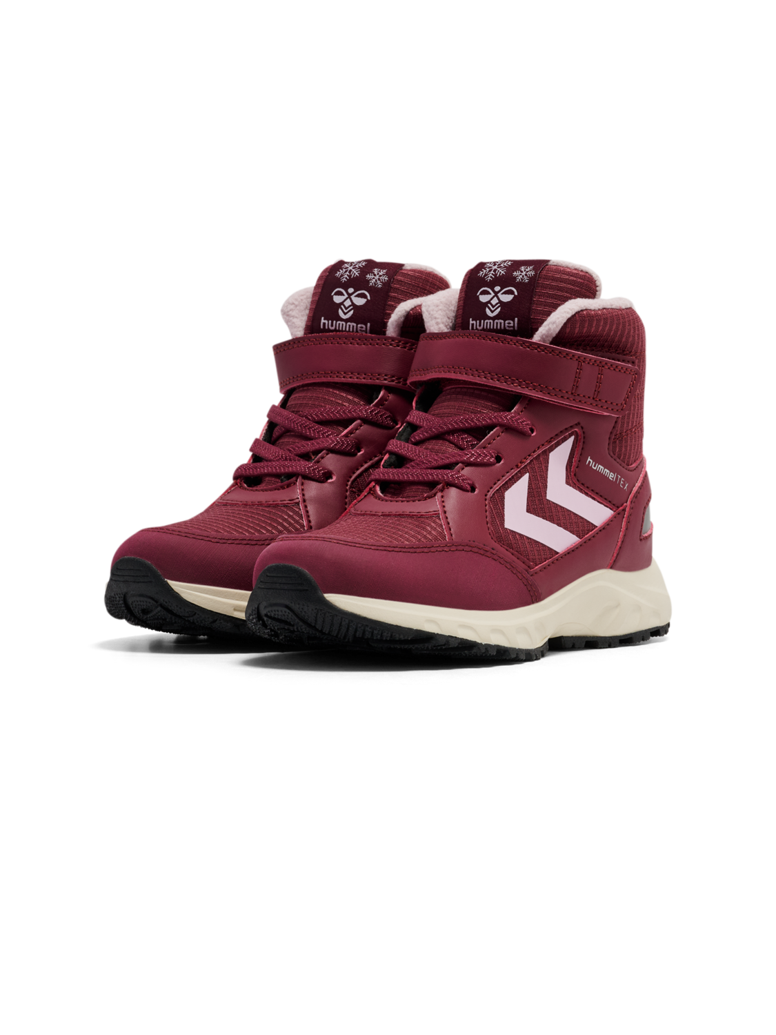 EXPLORER TEX, CHOCOLATE TRUFFLE, packshot