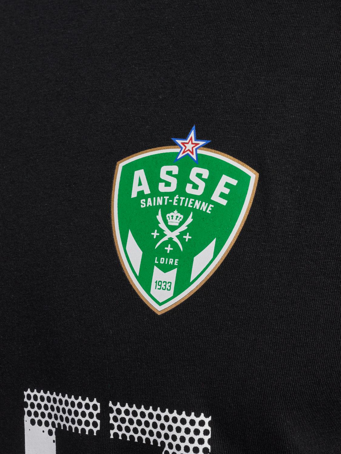 ASSE FAN ALLEZ LES VERTS TEE, 2001, packshot