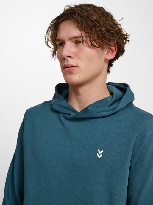 hmlPULSE SWEAT HOODIE, STARGAZER, model