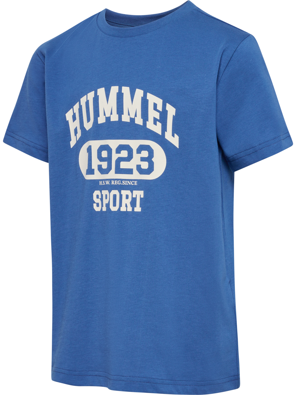 hmlPRINT T-SHIRT S/S, BRIGHT COBALT, packshot