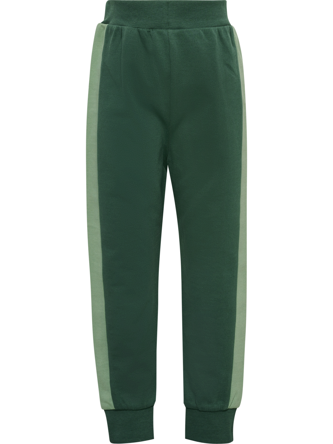 hmlARNOLD PANTS, GARDEN TOPIARY, packshot